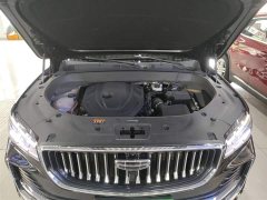 Geely Xingyue L 2024 2.0TD DCT EVO FWD Long Wind Edition - ფოტო 20