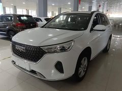 Haval M6 PLUS 1.5T DCT Elite Smart Connected Edition - ფოტო 1