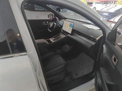 Wuling Xingguang S 130km Pilot Edition - ფოტო 20