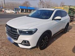 Haval H6 2021 National Trend Edition 1.5T Automatic Urban Version - ფოტო 1