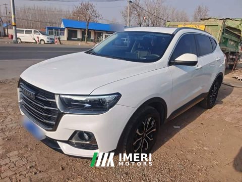 2022 Haval H6 2021 National Trend Edition 1.5T Automatic Urban Version - ავტომობილი ჩინეთიდან