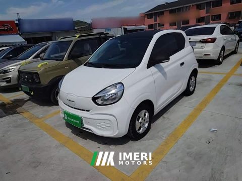 2021 SAIC Corey Wei CLEVER 302km All-Purpose Edition - ავტომობილი ჩინეთიდან