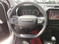 SAIC Corey Wei CLEVER 302km All-Purpose Edition - ფოტო 11
