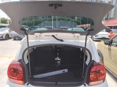 SAIC Corey Wei CLEVER 302km All-Purpose Edition - ფოტო 19