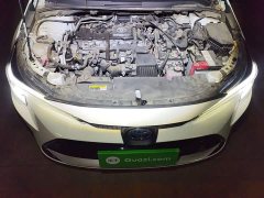 Toyota Corolla 2023 Intelligent Hybrid Dual-Engine 1.8L Luxury Edition - ფოტო 6