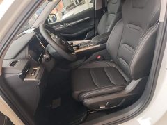 Geely Xingrui 2021 2.0T Diesel Luxury - ფოტო 15