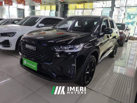 2024 Haval H6 2021 Third Generation 2.0T Automatic AWD Max - ავტომობილი ჩინეთიდან