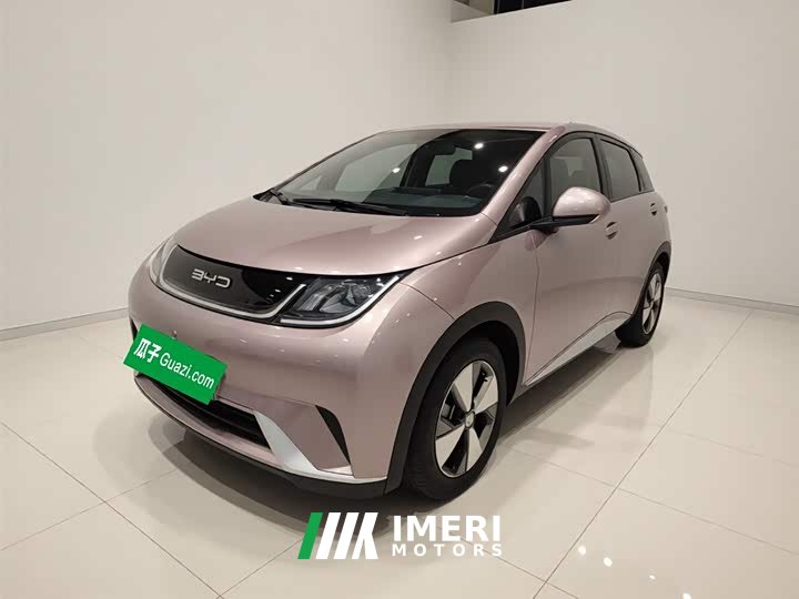 BYD Dolphin 420km Freedom Edition - ავტომობილი ჩინეთიდან