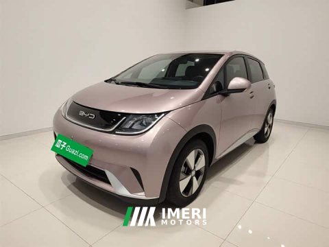 2023 BYD Dolphin 420km Freedom Edition - ავტომობილი ჩინეთიდან