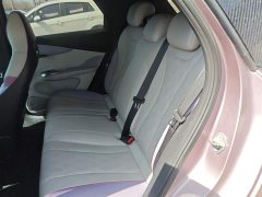 BYD Dolphin 420km Freedom Edition - ფოტო 13