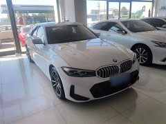 BMW 3 Series 320Li M Sport Package - ფოტო 6