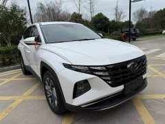 Hyundai Tucson 2021 Tucson L 1.5T DCT GLX Elite - ფოტო 10