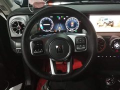 Tank 300 Off-Road Edition 2.0T Conqueror - ფოტო 11