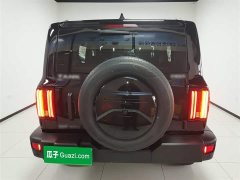 Tank 300 Off-Road Edition 2.0T Conqueror - ფოტო 6