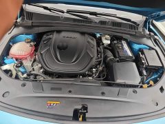 Geely Xingrui 2.0T Diesel Luxury - ფოტო 20