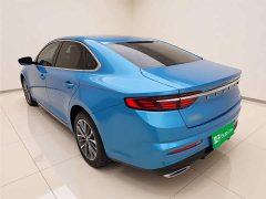 Geely Xingrui 2.0T Diesel Luxury - ფოტო 5
