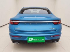 Geely Xingrui 2.0T Diesel Luxury - ფოტო 6