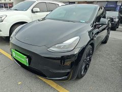 Tesla Model Y 2022 Performance All-Wheel Drive - ფოტო 1