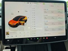 Tesla Model Y 2022 Performance All-Wheel Drive - ფოტო 12