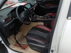 Changan Oushan X5 2021 1.5T DCT Premier - ფოტო 15