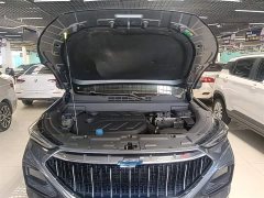 Changan Oushan X5 1.5T DCT Premier - ფოტო 20