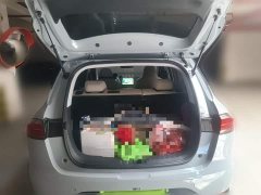 Wuling Binguo PLUS 401km 5-Seater - ფოტო 10