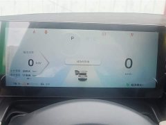 Wuling Binguo PLUS 401km 5-Seater - ფოტო 5
