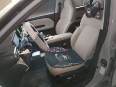 Wuling Binguo PLUS 401km 5-Seater - ფოტო 8