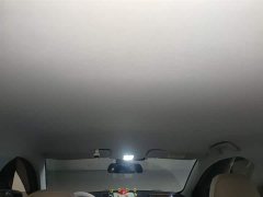 Wuling Binguo PLUS 401km 5-Seater - ფოტო 9