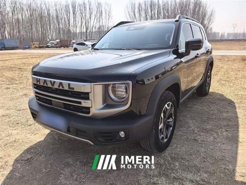 2025 Great Wall Dachshund 2024 2.0T DCT Chinese Rural Dog Edition - ავტომობილი ჩინეთიდან