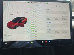 Tesla Model 3 Standard Range RWD Upgrade - ფოტო 12