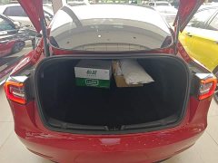 Tesla Model 3 Standard Range RWD Upgrade - ფოტო 19