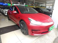 Tesla Model 3 Standard Range RWD Upgrade - ფოტო 4