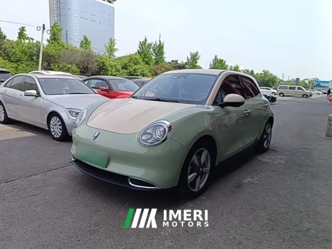 2021 ORA Good Cat 400km Standard Range Athena Edition Ternary Lithium - ავტომობილი ჩინეთიდან