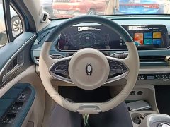 ORA Good Cat 400km Standard Range Athena Edition Ternary Lithium - ფოტო 11