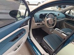 ORA Good Cat 400km Standard Range Athena Edition Ternary Lithium - ფოტო 16