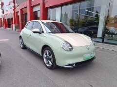 ORA Good Cat 400km Standard Range Athena Edition Ternary Lithium - ფოტო 4