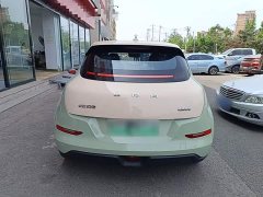 ORA Good Cat 400km Standard Range Athena Edition Ternary Lithium - ფოტო 6