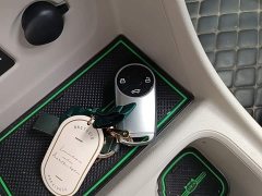 ORA Good Cat 400km Standard Range Athena Edition Ternary Lithium - ფოტო 9