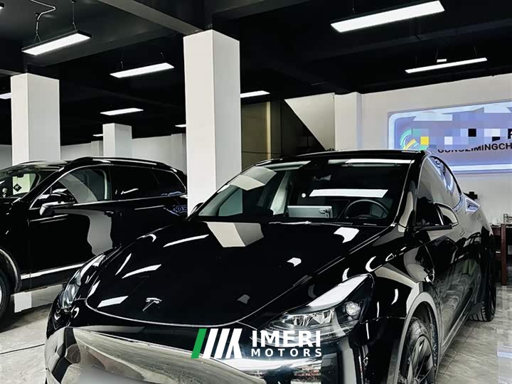 Tesla Model Y Rear-Wheel Drive