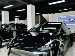 Tesla Model Y Rear-Wheel Drive - ფოტო 1