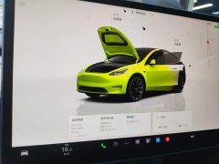 Tesla Model Y Rear-Wheel Drive - ფოტო 8