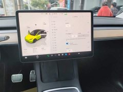 Tesla Model Y Rear-Wheel Drive - ფოტო 9
