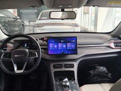 BYD Destroyer 05 Champion Edition DM-i 55KM Luxury - ფოტო 10