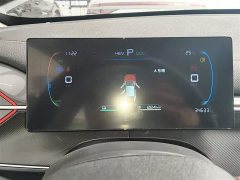 BYD Destroyer 05 Champion Edition DM-i 55KM Luxury - ფოტო 12