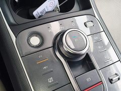 BYD Destroyer 05 Champion Edition DM-i 55KM Luxury - ფოტო 14