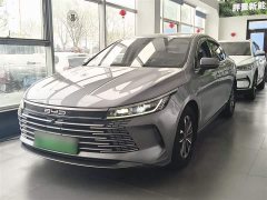 BYD Destroyer 05 Champion Edition DM-i 55KM Luxury - ფოტო 2