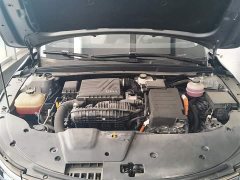 BYD Destroyer 05 Champion Edition DM-i 55KM Luxury - ფოტო 20