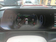 ORA Good Cat 401km Standard Range Luxury LFP - ფოტო 12