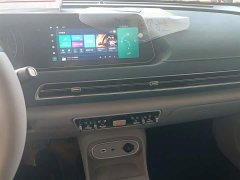 ORA Good Cat 401km Standard Range Luxury LFP - ფოტო 13